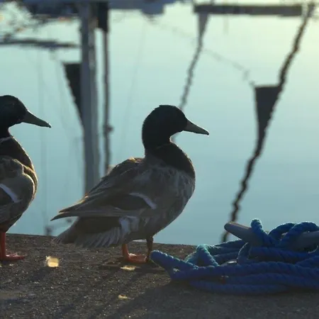 Ancora Marina Haus 1 Nr 08, Typ 2 * Neustadt in Holstein